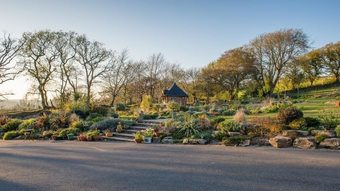 Hotel Whingreen Court