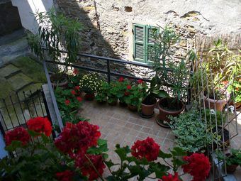 B&B Il Campo Dei Papaveri