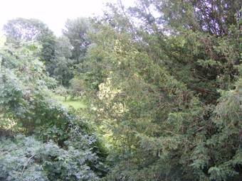 Hotel Les Lilas Des Deux Ponts