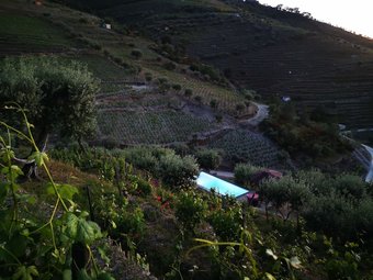Quinta Das Fontainhas - Douro Valley