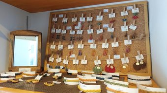 Hostal Okunikko Guesthouse Jun - Hostel