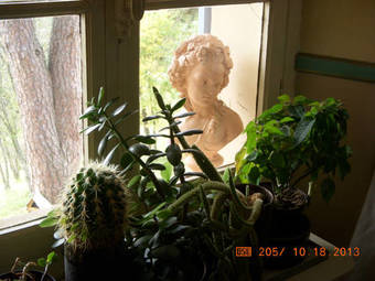 Bed & Breakfast La Becassiere