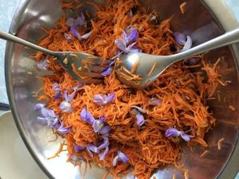 Bed & Breakfast Chambres D'h�tes Du Jardin Francais