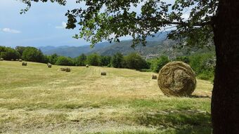 Apartamento Borgo Di Serignana