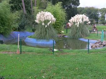 Bed & Breakfast Chambres D'h�tes Du Four � Pain