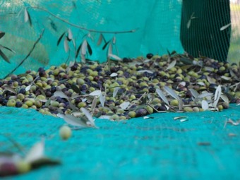 Apartamento Il Lentisco