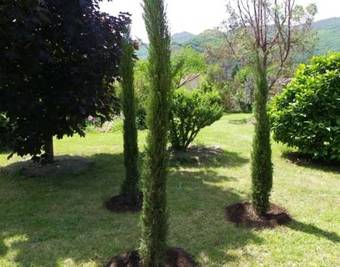 Bed & Breakfast Le Cabanon