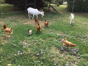 Hotel Domaine D'en Haut