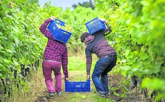 House With 5 Bedrooms In Ba�os De Valdearados, With Wonderful City View And Terrace