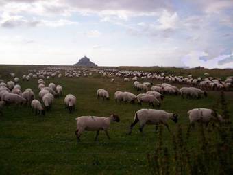 Bed & Breakfast Chambres D'h�tes Farcy