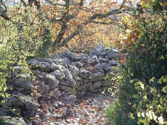 Hostal Le Pressoir De P�p� Emilien