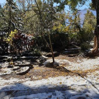 Apartamentos Chalet Ifrane