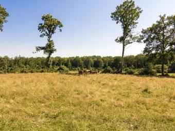 Holiday Home G�te Du Ch�teau