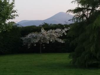 Arley House B&B