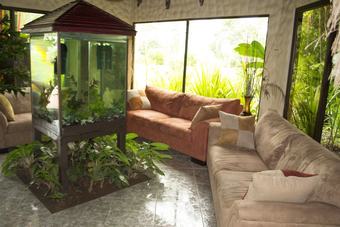 Blue River Resort & Hot Springs