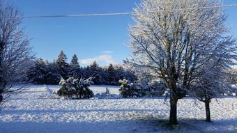 Bed & Breakfast G�te La Vigne