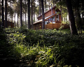 Forest Holidays Sherwood Forest