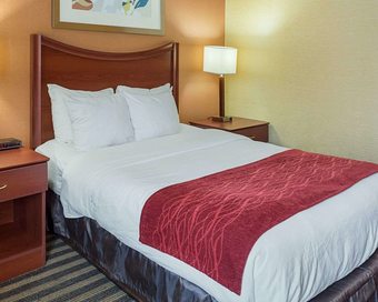 Hotel Comfort Inn Petersburg - Fort Lee
