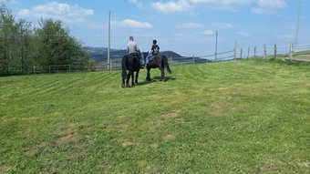 Bed & Breakfast La Quiete Tra Le Colline