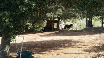 House With 2 Bedrooms In Porticcio, With Wonderful Mountain View And Enclosed Garden - 5 Km From The Beach