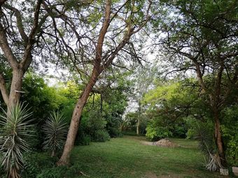 Bed & Breakfast Riverside's Kaia