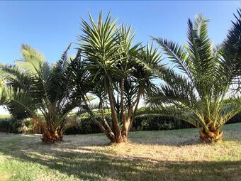 B&B Villa Martina