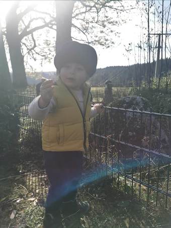 Pension Gasthof Zum Kreuz In Furtwangen