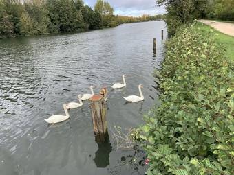 Camping L'ile D'amour