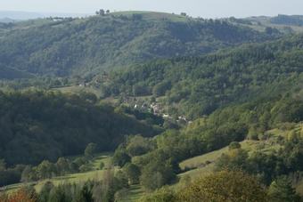 Bed & Breakfast Domisiladore
