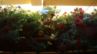 Apartamentos Casa Rural Piedrah�ta Art D�co & Nouveau