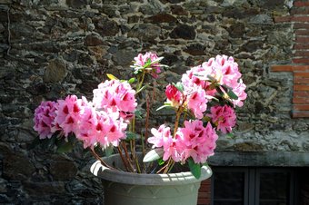 Bed & Breakfast Mas Des Colombes