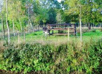 Apartamento House With One Bedroom In Mandeville-en-bessin, With Enclosed Garden And Wifi - 6 Km From The Beach