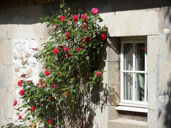 Domaine Du Bourg - Les Gites