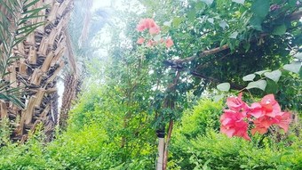 Hotel Camping Amasttou