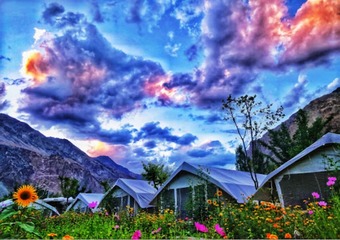 Hotel Tih Buckwheat Root Camp - Turtuk