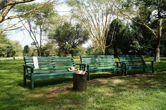 Hotel Siana Springs Tented Camp