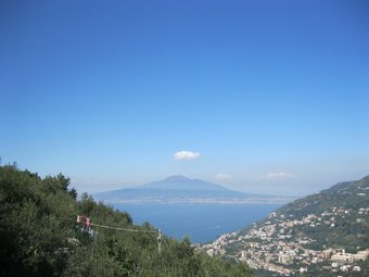 Bed And Breakfast Sunflower
