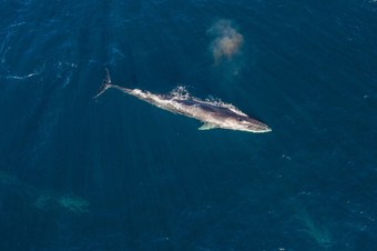Hotel Veiholmen Brygge