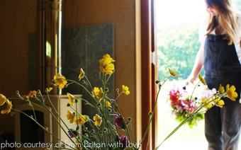 Tiny Homes Holidays - Eco Village