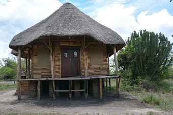 Posada Forest Hog Safari Lodge