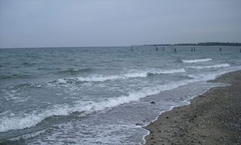 Apartamentos Ferienhof H�pner In P�ttsee