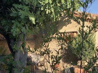 Bed & Breakfast La Belle Etoile - Chambres