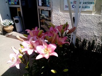 Hotel Le Relais Bleu