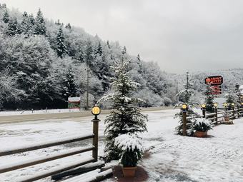 Hotel Abant Hitit Otel Restaurant