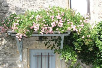 Bed & Breakfast Chambres D'hotes La Rose