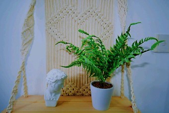 Apartamentos Avatar Skyline Large Queen Bed & High Rise View