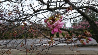 Hotel Shirako Sunrise Otsuka