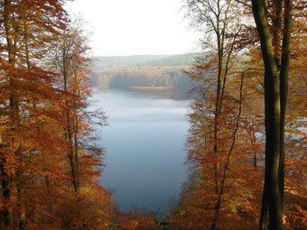 Quaint Holiday Home In Schenkend�bern On A Farm