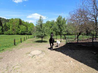 Spacious Apartment In Carinthia Austria With Balcony