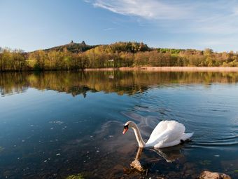 Detached House With Pool In The Garden, On The Bank Of The River